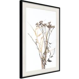 Arkiio Affisch Camomile [Poster] 30x45 Poster